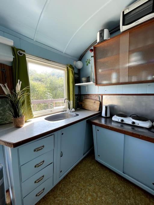 Apartmán Fjordhytten. Rebuild Train Wagon From 1937. Odense Exteriér fotografie